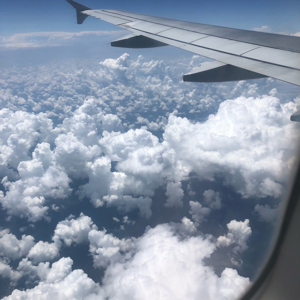 Meet your Posher, Abigail